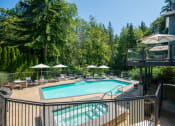 Thumbnail 60 of 73 - a swimming pool at the resort at paws upat Lakemont Orchard, Washington, 98027