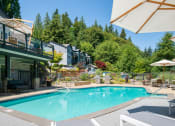 Thumbnail 62 of 73 - a swimming pool in the backyard of a house with a pool at Lakemont Orchard, Issaquah, 98027  
