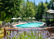 Thumbnail 64 of 73 - a swimming pool at a resort with trees at Lakemont Orchard, Issaquah, WA  