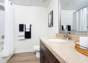Thumbnail 39 of 84 - Large Soaking Tub In Master Bathroom at Level at Sixteenth, Phoenix