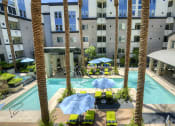 Thumbnail 3 of 84 - Resort style pool with palm trees at Level at Sixteenth, Arizona, 85014