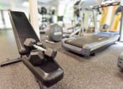 Thumbnail 12 of 73 - a dumbbell on a chair in the gym at Lakemont Orchard, Issaquah Washington  