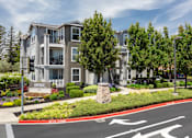 Thumbnail 34 of 34 - A street view of Monrovia apartments with a red curb and a crosswalk.