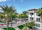 Thumbnail 10 of 67 - building with palm trees on the street at Monument, Chandler