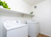Thumbnail 65 of 67 - Apartments Chandler, AZ - Monument - Laundry Room with Shelf, Washer and Dryer, and Plant