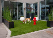 Thumbnail 4 of 24 - a dog is walking on an artificial grass lawn in front of a building at NoMa Apartments, Walnut Creek, CA, 94596