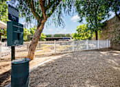 Thumbnail 13 of 123 - Dog Park at Paseos at Magnolia