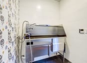 Thumbnail 18 of 18 - Luxury Apartments in Downtown Oakland, CA With In-Unit Washer and Dryer - Edson House - Pet Spa With Stainless Steel Wash Station, Accent Dog Wall, and Tile Blue Flooring.