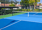 Thumbnail 48 of 57 - A blue tennis court with a white net in the middle.