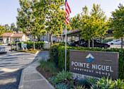 Thumbnail 55 of 57 - A sign for Pointe Niguel Apartment Homes is in front of a tree.