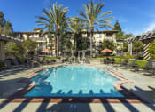Thumbnail 1 of 25 - a resort style pool with chaise lounge chairs and palm trees in the background at 55+ Remington at Ladera Ranch, Ladera Ranch