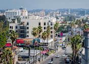 Thumbnail 115 of 117 - A city street with palm trees and a CVS Pharmacy. at Skyview Sunset, Los Angeles, CA, 90046