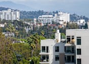 Thumbnail 116 of 117 - Building View at Skyview Sunset, California, 90046