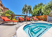 Thumbnail 6 of 40 - our resort style pool is the centerpiece of our home