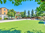 Thumbnail 11 of 40 - the preserve at ballantyne commons dog park apartments