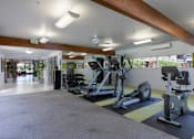 Thumbnail 27 of 29 - Expansive Fitness Center Featuring Various Gym Equipment at Palo Alto Place, Palo Alto, 94306
