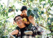 Thumbnail 55 of 83 - happy father and sun picking fruit near trees at Bayswater Apartments, California