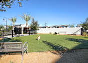 Thumbnail 24 of 87 - Dog park with two dogs