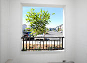 Thumbnail 62 of 87 - Patio view