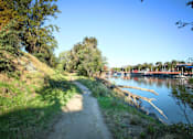 Thumbnail 87 of 87 - Walking trail near the community