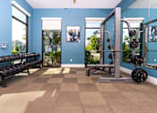 Thumbnail 27 of 85 - A gym with blue walls and a variety of equipment.