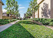 Thumbnail 29 of 39 - a grassy area with trees and buildings on either side at Sunstone Place, Riverside, 92505