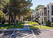 Thumbnail 35 of 142 - A tree-lined street with apartment buildings on either side.