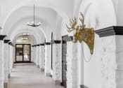 Thumbnail 15 of 39 - a hallway with white marble pillars and a deer head on the wall at Terracina, Broomfield, 80020