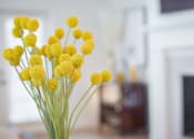 Thumbnail 30 of 39 - a vase of yellow flowers in a living room at Terracina, Broomfield, Colorado