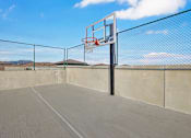 Thumbnail 10 of 39 - A basketball court with a hoop and a net at Terracina, Broomfield, Colorado