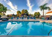 Thumbnail 22 of 27 - A large outdoor swimming pool surrounded by lounge chairs and umbrellas at Nola 624 Apartments, West Covina, California