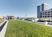 Thumbnail 8 of 104 - A large grassy area in the foreground with a building in the background at The Grand Apartments, Oakland