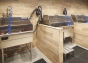 Thumbnail 47 of 84 - Pet washing stations at The Promenade Rio Vista, California, 92108