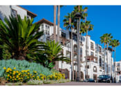 Thumbnail 68 of 84 - exterior of promenade rio vista apartments and palm tree landscaping at The Promenade Rio Vista, California, 92108