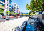 Thumbnail 5 of 51 - Apartments San Francisco, CA - Venue - Outdoor Courtyard with Plenty of Seating and Trees, Surrounded by a Decorative Fountain with a Walking Path