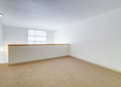 Thumbnail 35 of 51 - unfurnished loft space with carpet and large window at Venue, San Francisco, CA, 94158