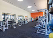 Thumbnail 44 of 51 - A gym with a variety of equipment including weights and cardio machines.