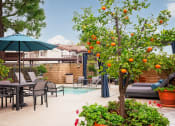 Thumbnail 46 of 52 - Pool area lounge seating at Westlake Canyon, Thousand Oaks, 91362