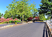 Thumbnail 12 of 46 - tree lined entryway at Woodlake Apartments, Kirkland, Washington