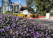 Thumbnail 6 of 81 - Property entrance sign with purple flowers at Woodbend Apartments, Alta Loma, 91701