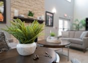Thumbnail 26 of 38 - A living room with a potted plant on the table.