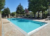 Thumbnail 8 of 18 - a swimming pool with chairs and trees around it