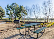 Thumbnail 6 of 53 - A picnic table and bench are set up in a park with trees and a fence in the background.
