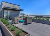 Thumbnail 2 of 24 - a rooftop terrace with couches and chairs and a blue bowl in the middle of the at Napoleon Apartments, Tacoma, WA