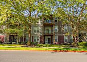 Thumbnail 48 of 48 - A tree with green leaves is in front of a building.