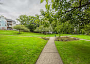 Thumbnail 35 of 48 - A pathway leads through a grassy area with trees and a building in the background.