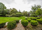 Thumbnail 44 of 48 - A garden with green bushes and a gravel path.