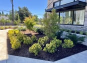Thumbnail 28 of 28 - Garden at Commons on the Tualatin River, Oregon, 97062
