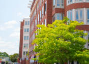 Thumbnail 2 of 10 - a tall brick building with trees in front of it