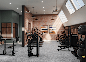Thumbnail 1 of 27 - A gym with a variety of equipment including weights and a bench.